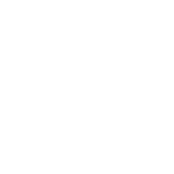 天天插BB网"